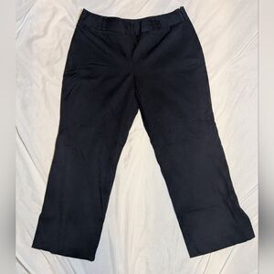 Ann Taylor Loft Petites Women's Dark Blue Pants‎ Size 8P